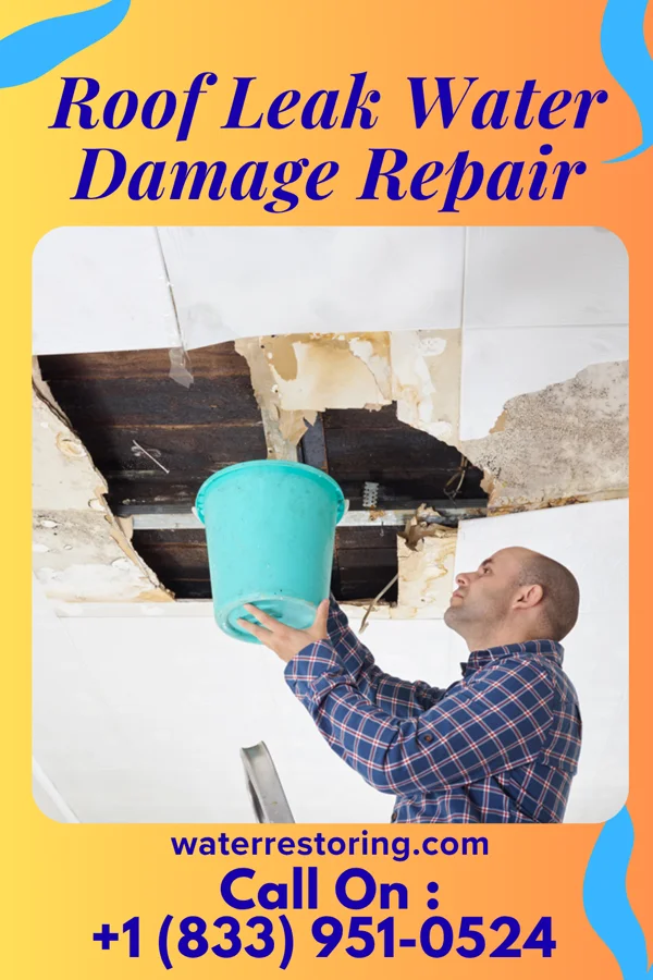Roof Leak Water Damage Repair in Cross Lanes, WV