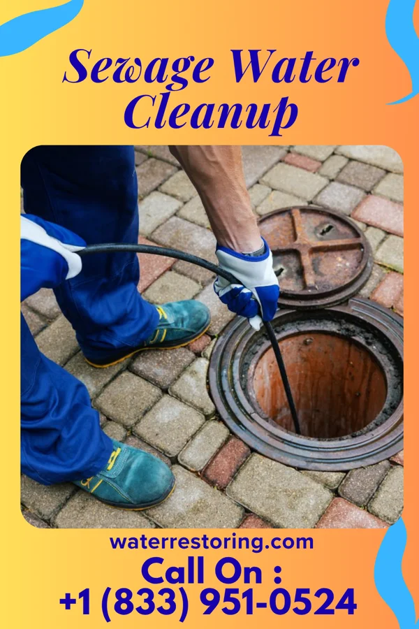 Sewage Water Cleanup in Cross Lanes, WV
